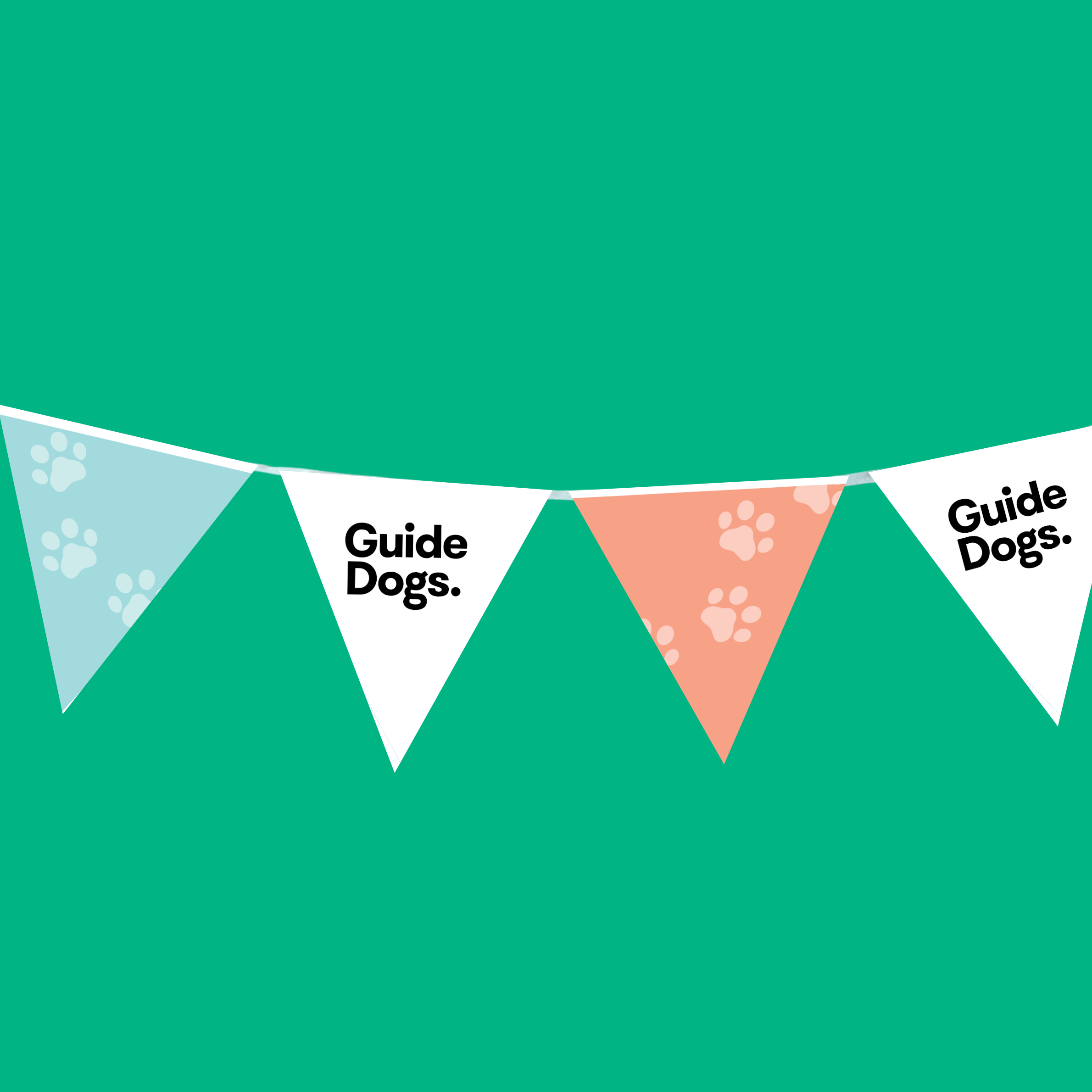 Triangle Flag Bunting